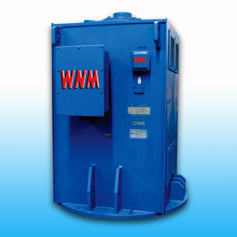 【高效】YL、YLKK系列立式電機(jī)（6KV/10KV）